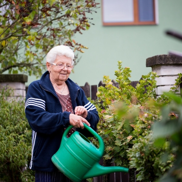 What are everyday living services